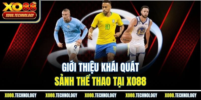 Giới thiệu khái quát sảnh thể thao tại XO88
