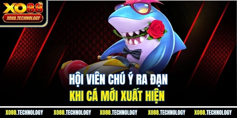 Hội viên chú ý ra đạn khi cá mới xuất hiện